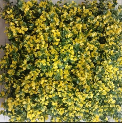 پانل های چمن دیواری چند منظوره و قابل استفاده مجدد برای بهبود زیبایی دوستانه در خانه ها و دفاتر