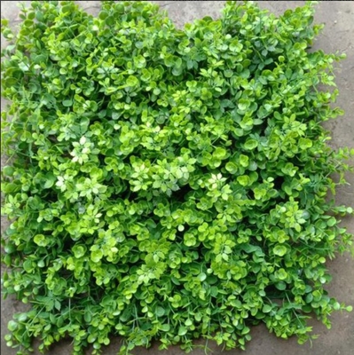 چمن مصنوعی دیوار باعث افزایش جذابیت زیبایی برای دفاتر خانه ها مکان هایی مانند کافه ها و رستوران ها