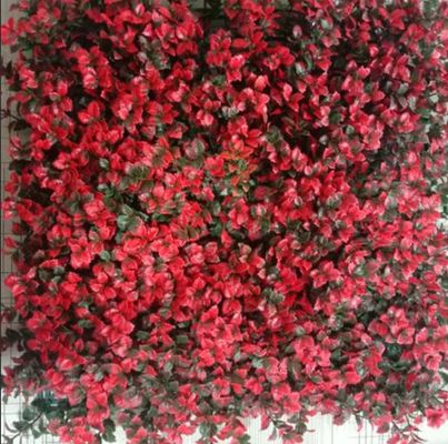 کیفیت  Artificial Wall Grass Natural Looking Low Maintenance Solution For Indoor Outdoor Spaces کارخانه