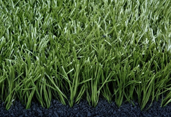 60mm حیوانات خانگی دوستدار ورزش علف مصنوعی مورد استفاده برای ورزش پر کردن مورد نیاز با اندازه رول سفارشی