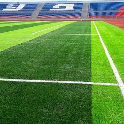 فیفا چمن مصنوعی فوتبال با ارتفاع شمع 50 میلی متری مقاوم در برابر اشعه ماوراء بنفش با تراکم بالا و نگهداری کم را تایید کرد.