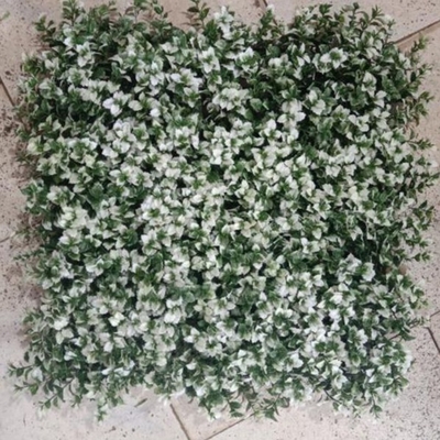 50 سانتی متر*50 سانتی متر علف سبز ساختگی اندازه دیوار قابل سفارشی PE