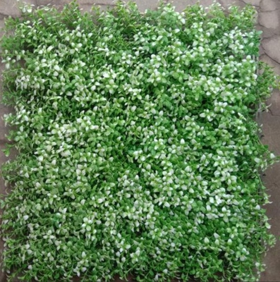 مقاوم در برابر اشعه ی UV چمن مصنوعی دیوار برای فضای زندگی زیبا و راحت با شکل مربع