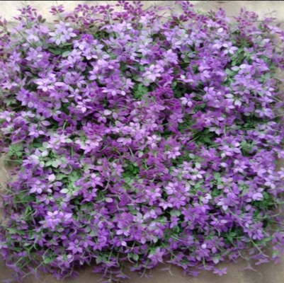 50 سانتی متر*50 سانتی متر اندازه چمن مصنوعی دیوار دوام قوی تخلیه سریع برای تزئین و زیبایی