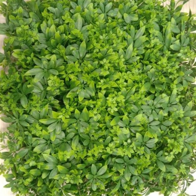 تزئینات خانه چمن مصنوعی دیوار محیط آموزشی طبیعی برای کودکان ایجاد می کند