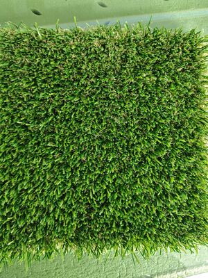 چمن مصنوعی غیر پرکننده با ارتفاع شمع 30 میلی متر و چسب لاتکس شفاف برای چمن ورزشی 12400 Dtex کم تعمیر و نگهداری