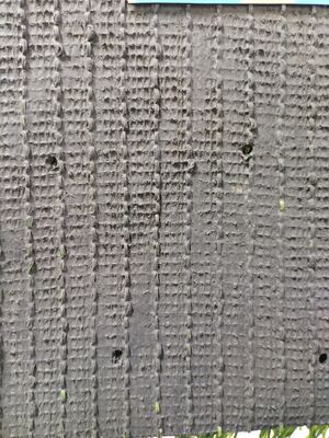 ارتفاع 40 میلی متری مقاومت در برابر اشعه ی UV علف مصنوعی فدراسیون فوتبال برای زمین های ورزشی و استادیوم ها