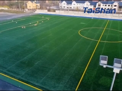 دارای گواهینامه FIFA Football Tof