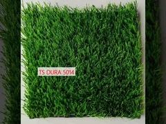 TS Dura 5014