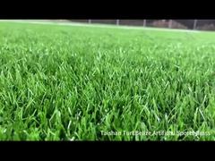 پروژه جدید تایشان، زمین چمن مصنوعی ورزشی بلیز